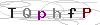 weryfikator